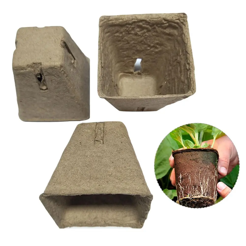 60Pcs Square Biodegradable Paper Pulp Plant Seedling Nursery Cup Gardening Tray Plant Seedling Nursery Cup Gardening Tray Plant
60Pcs Square Biodegradable Paper Pulp Plant Seedling Nursery Cup Gardening Tray Plant Seedling Nursery Cup Gardening Tray Plant