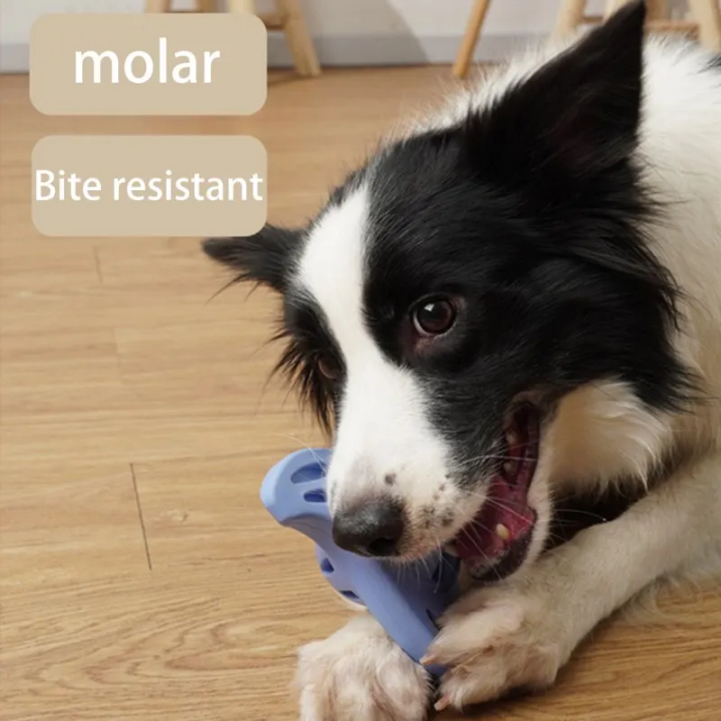New Interactive Dog Chew Toys Resistance Bite Soft Rubber Puppy Pet Toy for Dogs Pet Training Pet Chewing Teeth Toys
New Interactive Dog Chew Toys Resistance Bite Soft Rubber Puppy Pet Toy for Dogs Pet Training Pet Chewing Teeth Toys