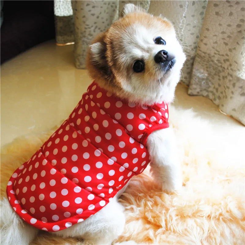 Dog Jacket Cotton Dog Winter Coat Dogs Down Parkas Jacket Waterproof Thicken Dogs Dot Print Jackets Puppy Clothes Plus Size XXL
Dog Jacket Cotton Dog Winter Coat Dogs Down Parkas Jacket Waterproof Thicken Dogs Dot Print Jackets Puppy Clothes Plus Size XXL