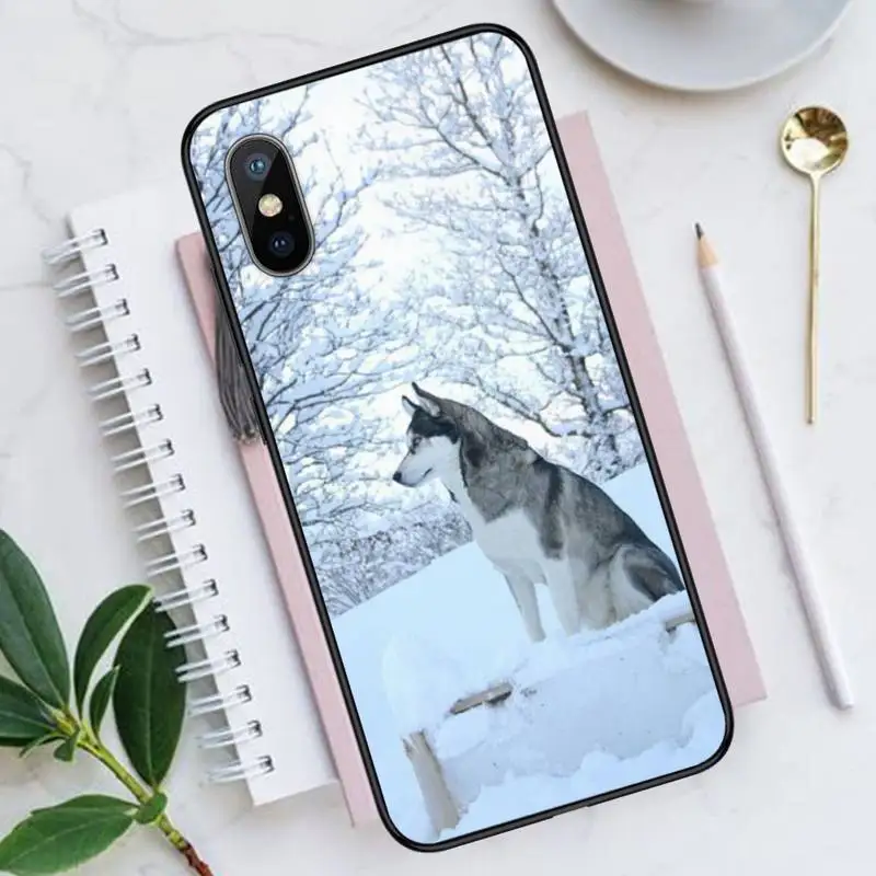 husky cute animal dog Phone Case for iPhone 11 12 pro XS MAX 8 7 6 6S Plus X 5S SE 2020 XR Luxury brand shell funda coque
husky cute animal dog Phone Case for iPhone 11 12 pro XS MAX 8 7 6 6S Plus X 5S SE 2020 XR Luxury brand shell funda coque