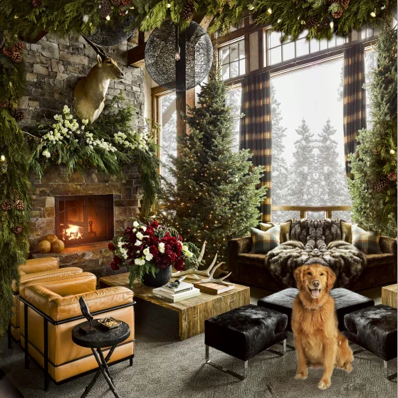8x8FT Christmas Room Fireplace Fir Tree Cute Dog Floral Flowers Custom Photo Studio Background Backdrop Vinyl 240cm x 240cm 
8x8FT Christmas Room Fireplace Fir Tree Cute Dog Floral Flowers Custom Photo Studio Background Backdrop Vinyl 240cm x 240cm