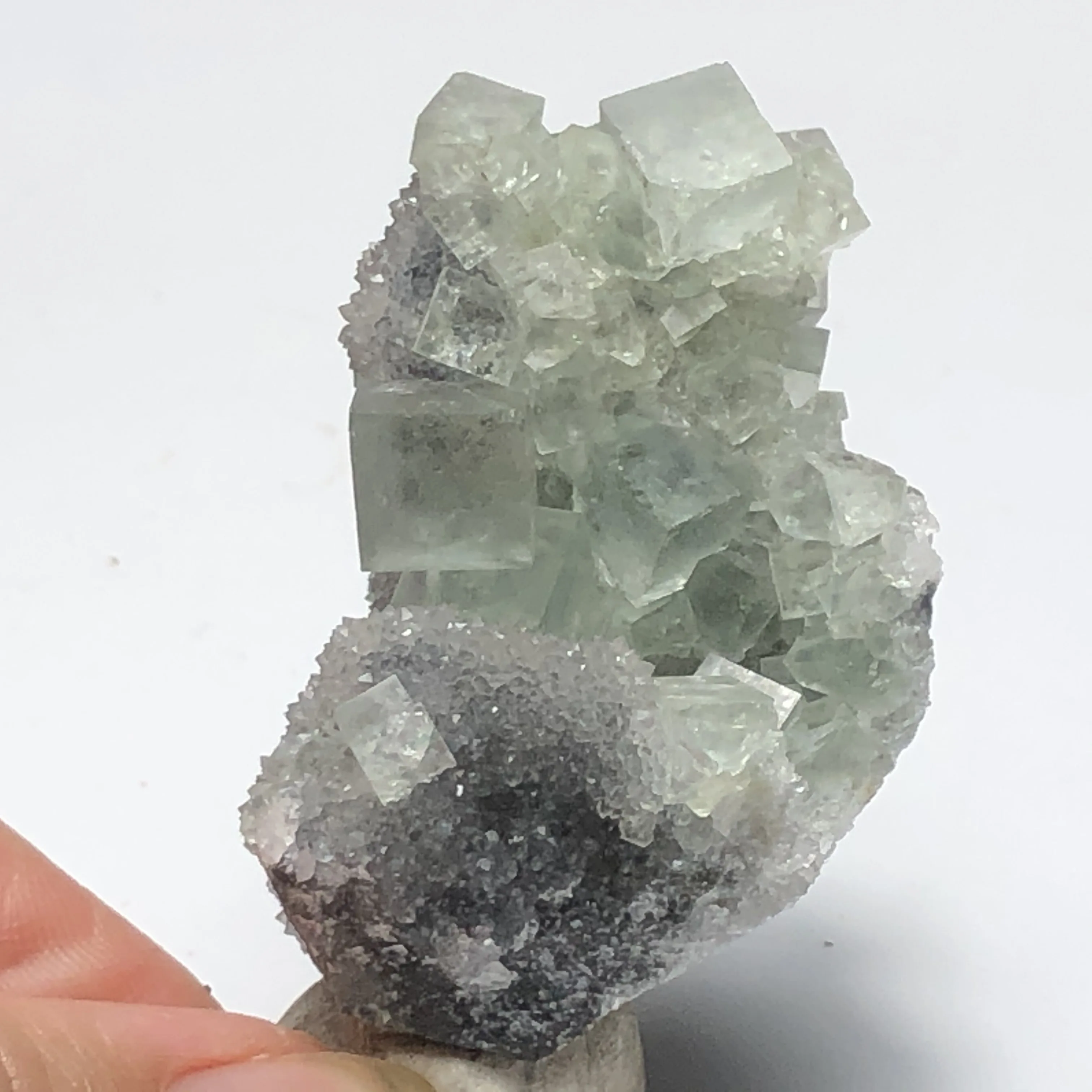 31.3gNatürliches Quadratfluorit und Quarz Mineralsteine Hausdekoration Energie Geologie Unterricht CRYSTAL QUARTZ GEM
31.3gNatürliches Quadratfluorit und Quarz Mineralsteine Hausdekoration Energie Geologie Unterricht CRYSTAL QUARTZ GEM