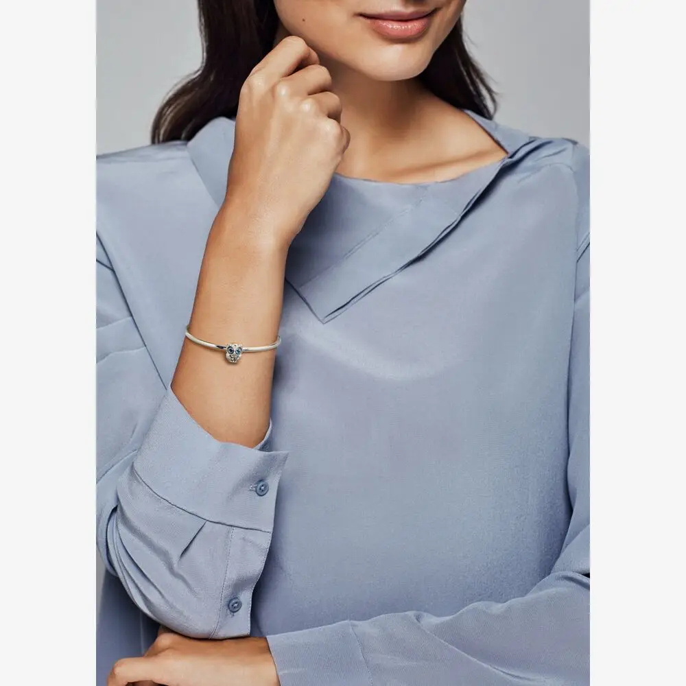 New Original Silver Shiny Sky Ocean Sparkling Owl Charm Fit 925 Beads Bracelet For Women Diy Fashion Jewelry
New Original Silver Shiny Sky Ocean Sparkling Owl Charm Fit 925 Beads Bracelet For Women Diy Fashion Jewelry