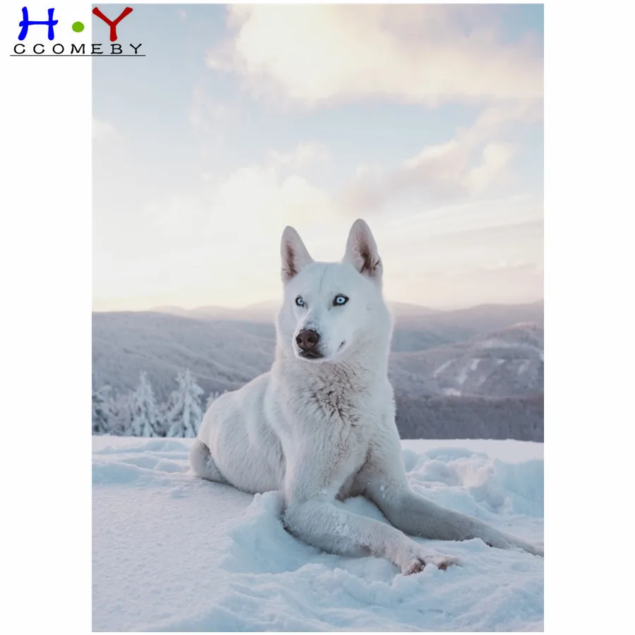 Animal wolf 5D DIY diamond painting cross stitch square diamond embroidery full circle mosaic home decoration christmas gift
Animal wolf 5D DIY diamond painting cross stitch square diamond embroidery full circle mosaic home decoration christmas gift
