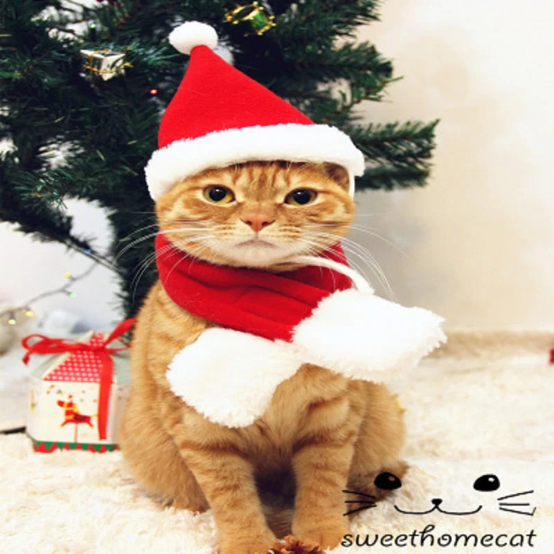 Christmas Cat Clothes Cape Cloak Headband For Cats Costume New Year Outfit Pet Cat Clothes For Chihuahua Winter Warm Pet Clothes
Christmas Cat Clothes Cape Cloak Headband For Cats Costume New Year Outfit Pet Cat Clothes For Chihuahua Winter Warm Pet Clothes