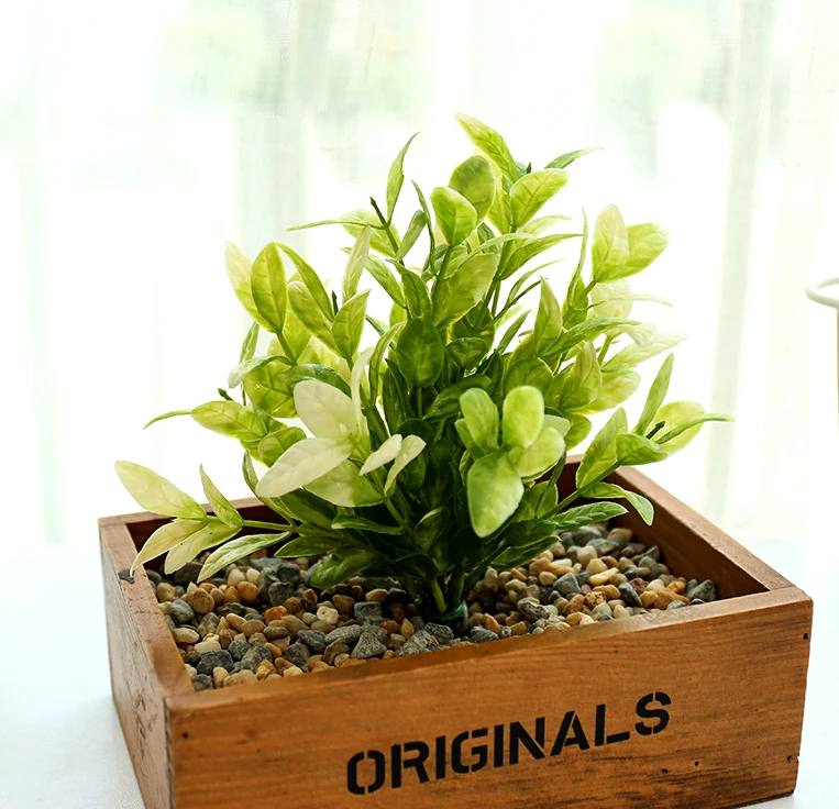 23cm LightGreenRich Leaves,Artificial Bonsai Plants,Small Green Potted Plants,Tree Plant Bonsai Ornaments,Home Decoration Crafts
23cm LightGreenRich Leaves,Artificial Bonsai Plants,Small Green Potted Plants,Tree Plant Bonsai Ornaments,Home Decoration Crafts