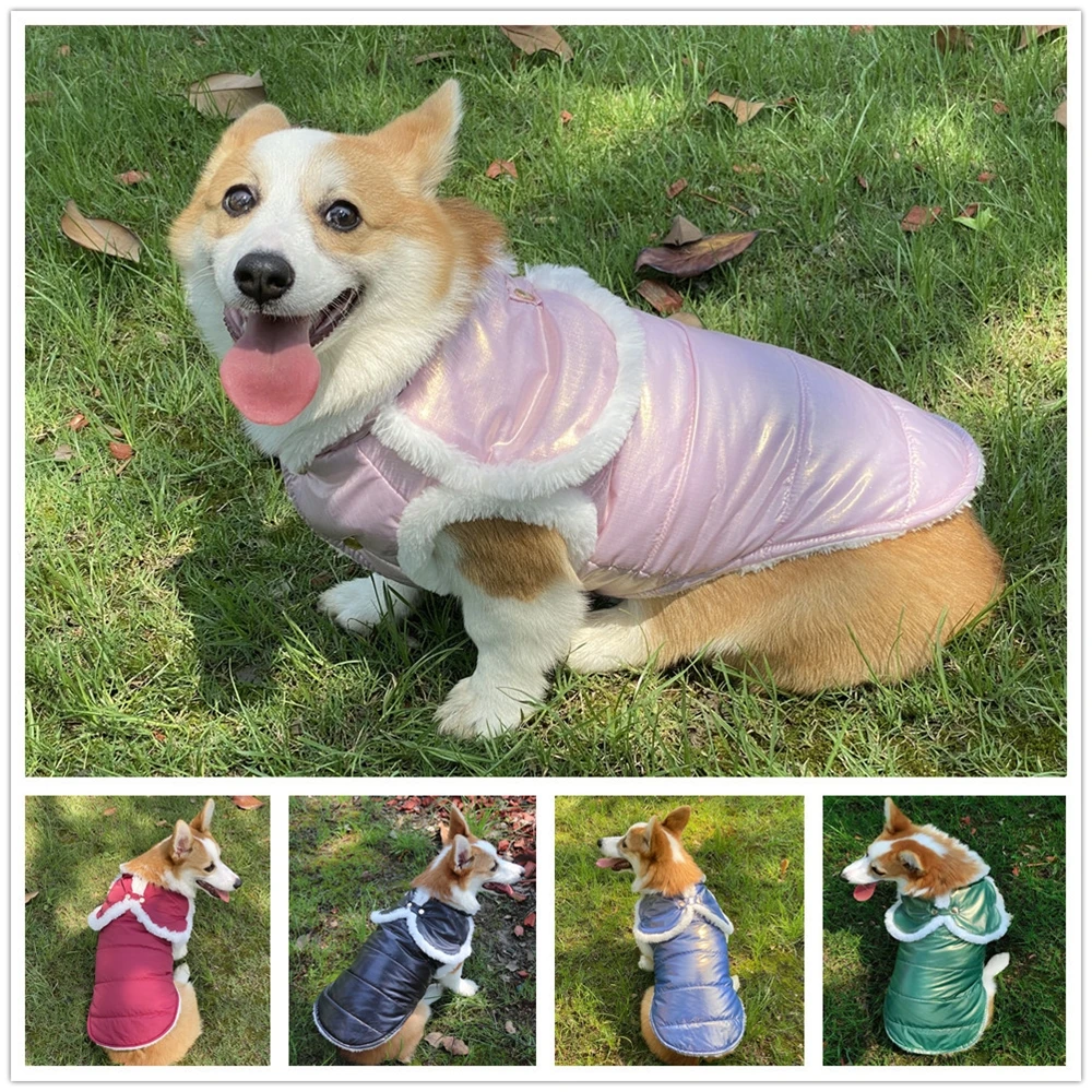 Fashion Dog Warm Clothes Autumn Winter Pet Pearlescent Waterproof Clothing Cotton Padded Dog Puppy Vest Coat Cape Christmas Gift
Fashion Dog Warm Clothes Autumn Winter Pet Pearlescent Waterproof Clothing Cotton Padded Dog Puppy Vest Coat Cape Christmas Gift