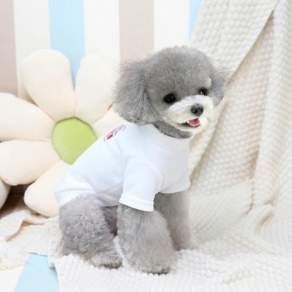 Two-leg Velvet Clothes For Pet Dogs Warm And Skin-Dog Coats Cute Soft Plush Pet Clothes For Dogs
Two-leg Velvet Clothes For Pet Dogs Warm And Skin-Dog Coats Cute Soft Plush Pet Clothes For Dogs