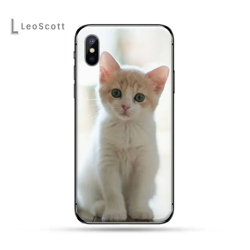 cat Cute animal Phone Cases for iPhone 11 12 pro XS MAX 8 7 6 6S Plus X 5S SE 2020 XR
cat Cute animal Phone Cases for iPhone 11 12 pro XS MAX 8 7 6 6S Plus X 5S SE 2020 XR