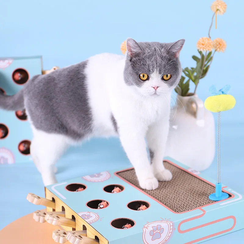 Pet Cat Toy Cat Hitting Hamster Toys 5-holed Cats Interactive Toys for Cat Hunt Gophers Kitten Scratch Board Pad Cat Accessories
Pet Cat Toy Cat Hitting Hamster Toys 5-holed Cats Interactive Toys for Cat Hunt Gophers Kitten Scratch Board Pad Cat Accessories