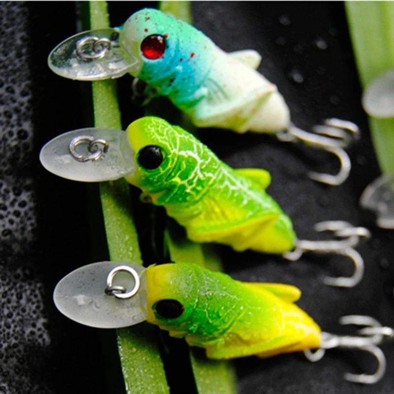 5 Pieces Of Insect Bait Artificial Simulation Rocking Hard Bait With Double Hook For Freshwater Bass 6 Mm 3.5 G
5 Pieces Of Insect Bait Artificial Simulation Rocking Hard Bait With Double Hook For Freshwater Bass 6 Mm 3.5 G