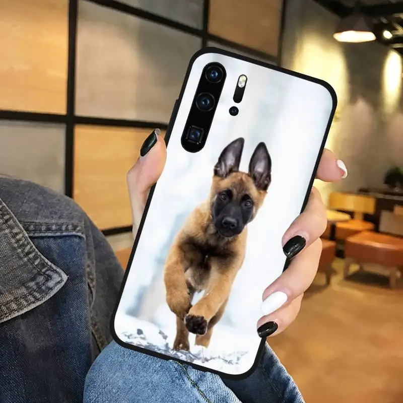 Malinois dog animals Phone Case For Huawei honor Mate P 9 10 20 30 40 Pro 10i 7 8 a x Lite nova 5t
Malinois dog animals Phone Case For Huawei honor Mate P 9 10 20 30 40 Pro 10i 7 8 a x Lite nova 5t