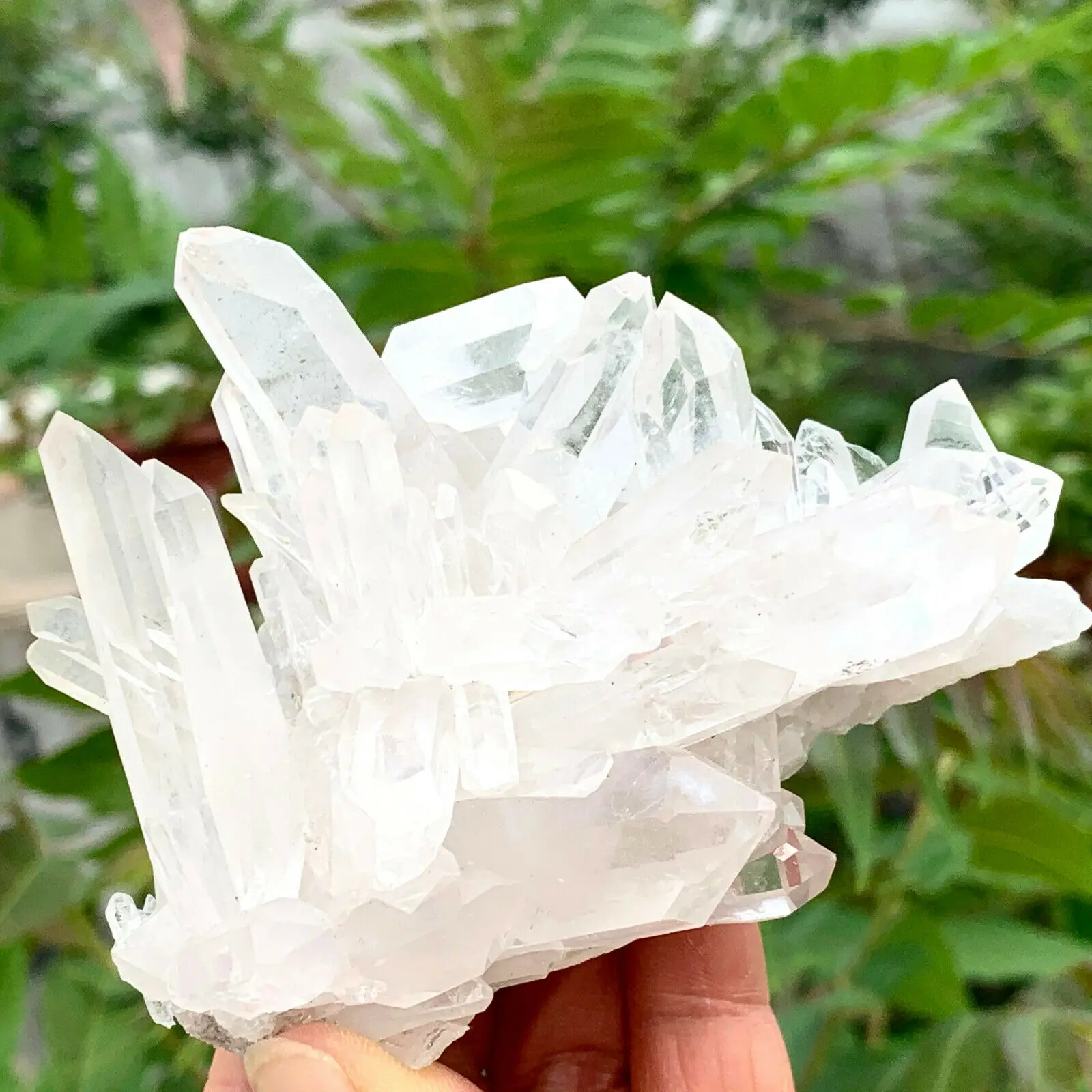 Beautiful natural transparent crystal clusters rare ore Reiki ornaments
Beautiful natural transparent crystal clusters rare ore Reiki ornaments
