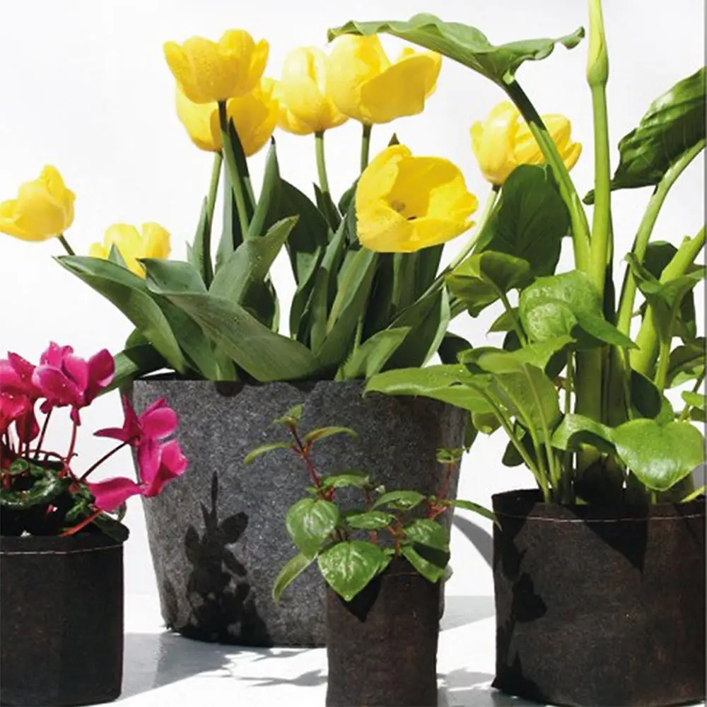 Planting Belt Black Spring Practical Nonwoven Creative Balcony Plant Bag Plant Grow Bag Vegetable Storage Container
Planting Belt Black Spring Practical Nonwoven Creative Balcony Plant Bag Plant Grow Bag Vegetable Storage Container