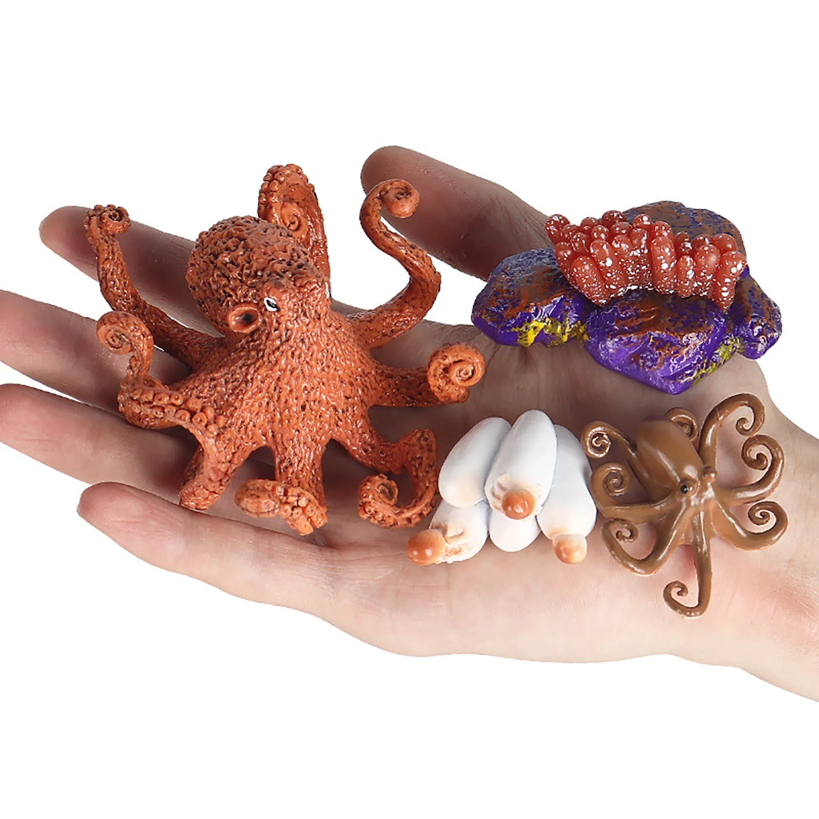 New Type Simulation Mini Marine Animal Growth Cycle Model Cartoon Octopus Set Children's Educational Cognitive Toys For Children
New Type Simulation Mini Marine Animal Growth Cycle Model Cartoon Octopus Set Children's Educational Cognitive Toys For Children