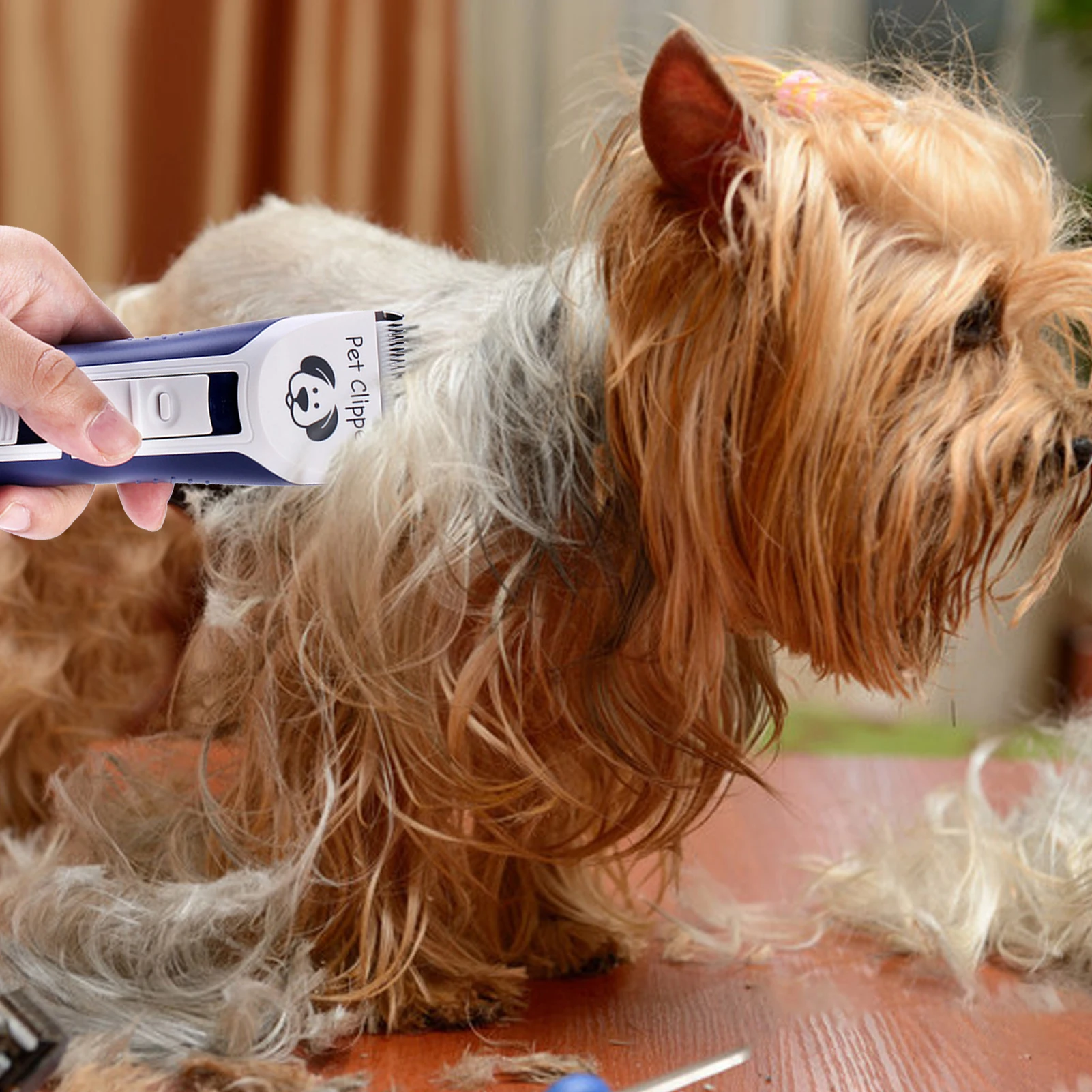 Электрическая машинка для стрижки домашних животных, триммер для кошек, USB, удаление шерсти, бритва, товары для питомцев
Электрическая машинка для стрижки домашних животных, триммер для кошек, USB, удаление шерсти, бритва, товары для питомцев