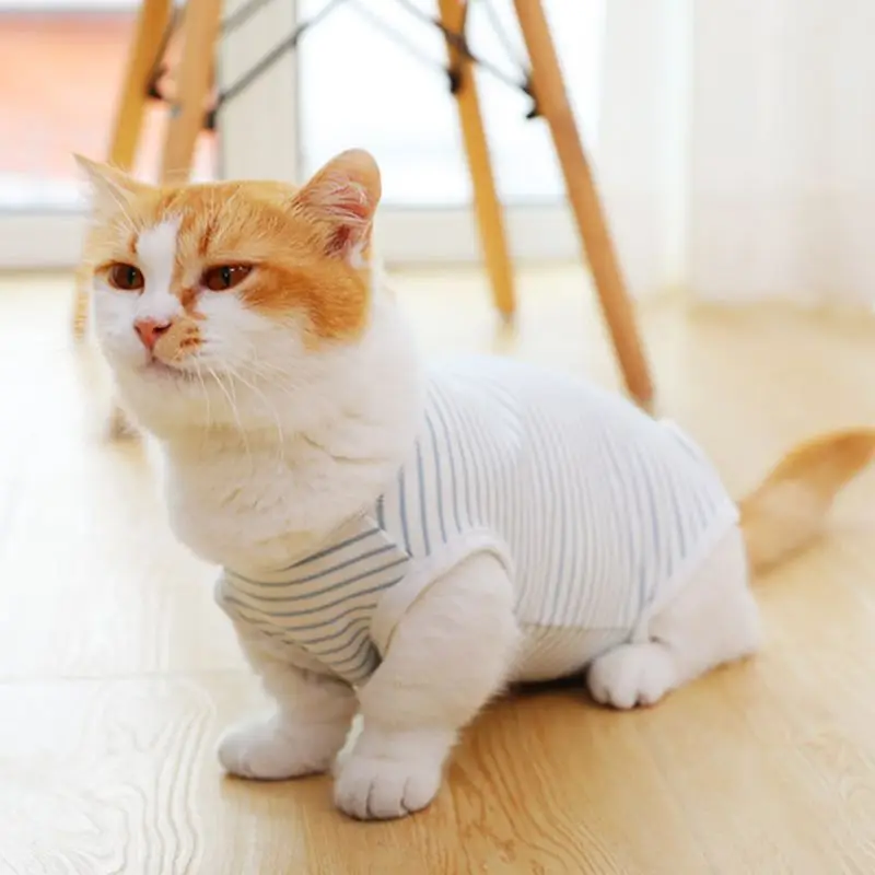 Cat Recovery Suit Sterilization Care Pet Kitten Prevent Lick After Surgery Wear Summer Vest
Cat Recovery Suit Sterilization Care Pet Kitten Prevent Lick After Surgery Wear Summer Vest