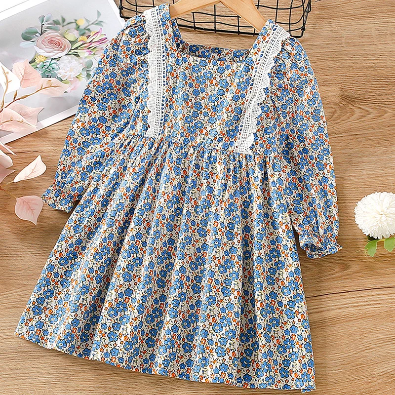 New Autumn Floral Sweet Princess Dress Casual Lace Decoration Long-sleeve Cute Kids Clothes Girl Dress 2-6 Years Old
New Autumn Floral Sweet Princess Dress Casual Lace Decoration Long-sleeve Cute Kids Clothes Girl Dress 2-6 Years Old