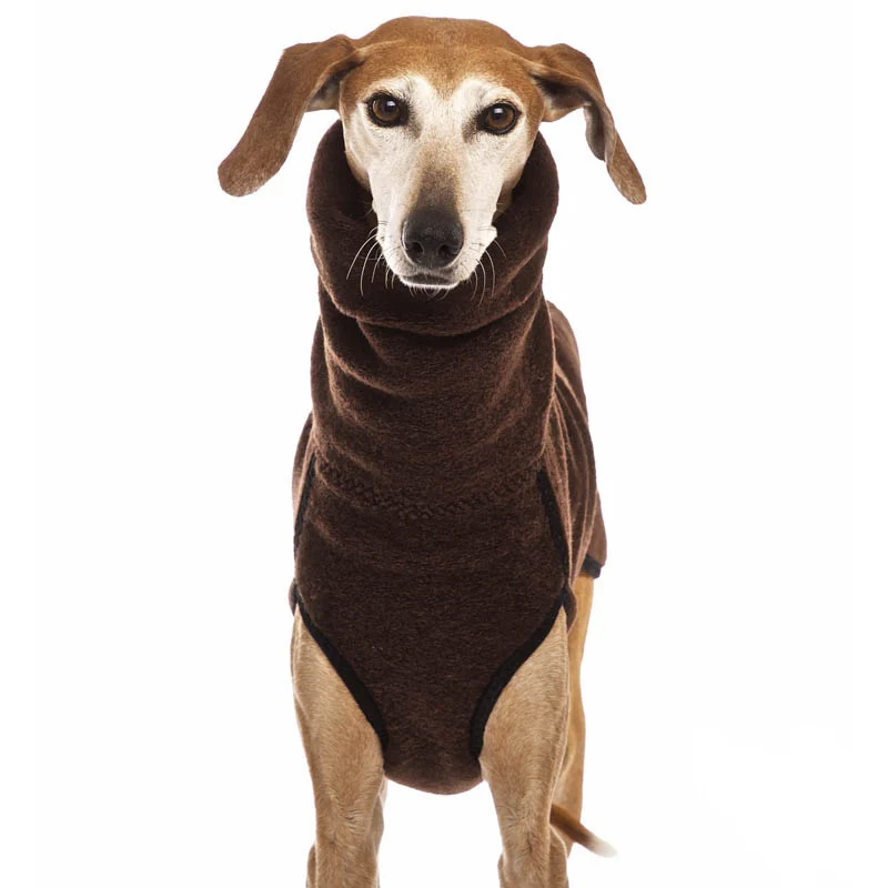 High Collar Pet Clothes for Medium Large Dogs Winter Warm Big Dog Coat Pharaoh Hound Great Dane Pullovers Mascotas Supplies
High Collar Pet Clothes for Medium Large Dogs Winter Warm Big Dog Coat Pharaoh Hound Great Dane Pullovers Mascotas Supplies