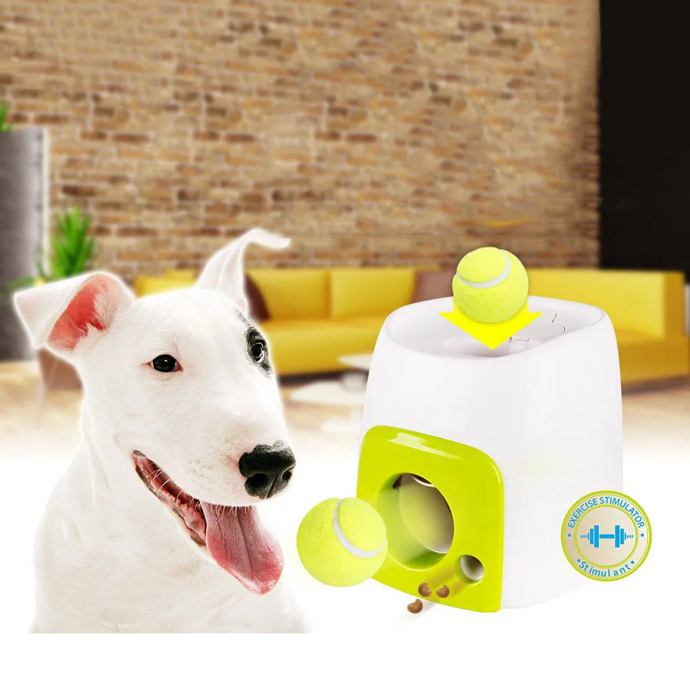 Dog Tennis Balls Replacement Exercise Trainer Launcher Thrower Chucker Cat Bounce Sport Toy AFP Hyper Fetch Mini Pet
Dog Tennis Balls Replacement Exercise Trainer Launcher Thrower Chucker Cat Bounce Sport Toy AFP Hyper Fetch Mini Pet