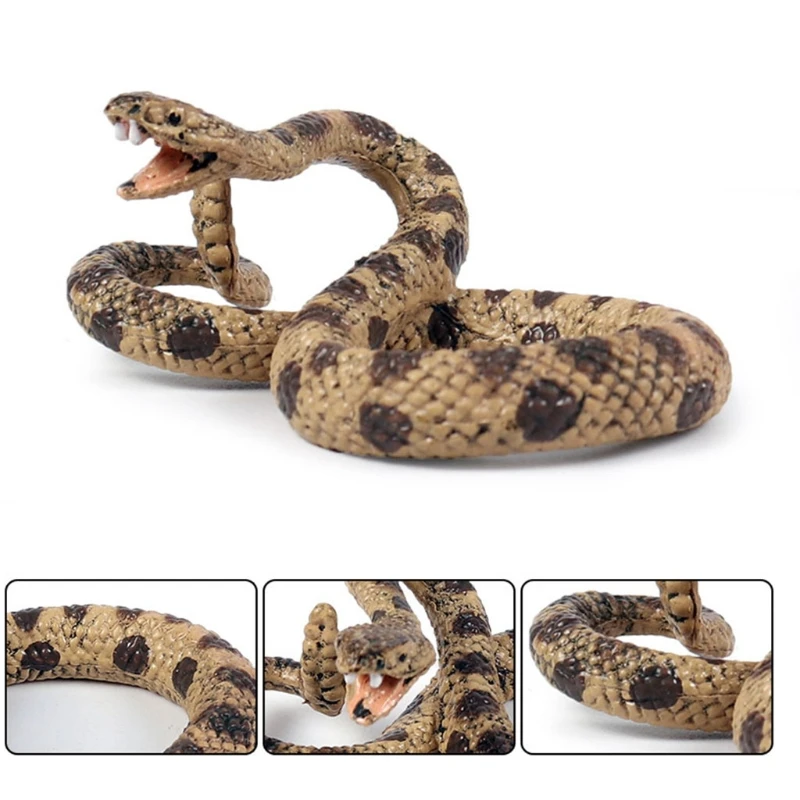 1Set School Supplies Vivid Prank Joke Props Realistic Model Snake Toy for Party & Family Game Props Desktop Decoration
1Set School Supplies Vivid Prank Joke Props Realistic Model Snake Toy for Party & Family Game Props Desktop Decoration