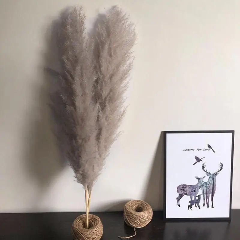 3pcs Natural Dried Flower Pampas Grass Reed Home Decoration Gray Large Wedding Layout Corner Shop Display Window Home Decoration
3pcs Natural Dried Flower Pampas Grass Reed Home Decoration Gray Large Wedding Layout Corner Shop Display Window Home Decoration