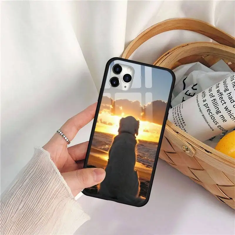 Golden Retriever Golden dog animal Phone Case Tempered glass For iphone 11 12 PRO MAX X XS XR 5C 6 6S 7 8 plus
Golden Retriever Golden dog animal Phone Case Tempered glass For iphone 11 12 PRO MAX X XS XR 5C 6 6S 7 8 plus