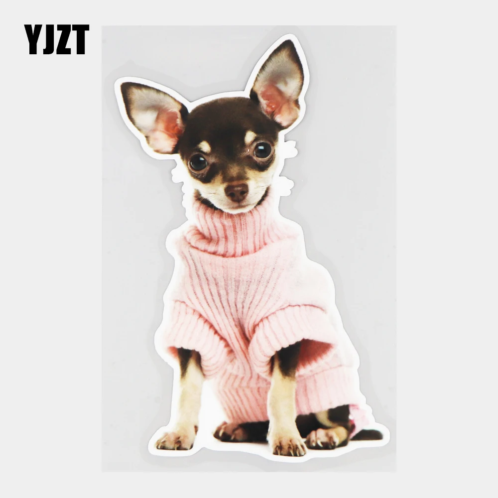YJZT 10.9×17.2CM Cute Pet Dog Animal Car Sticker Bumper Scratch Decoration Accessories 21A-0750
YJZT 10.9×17.2CM Cute Pet Dog Animal Car Sticker Bumper Scratch Decoration Accessories 21A-0750