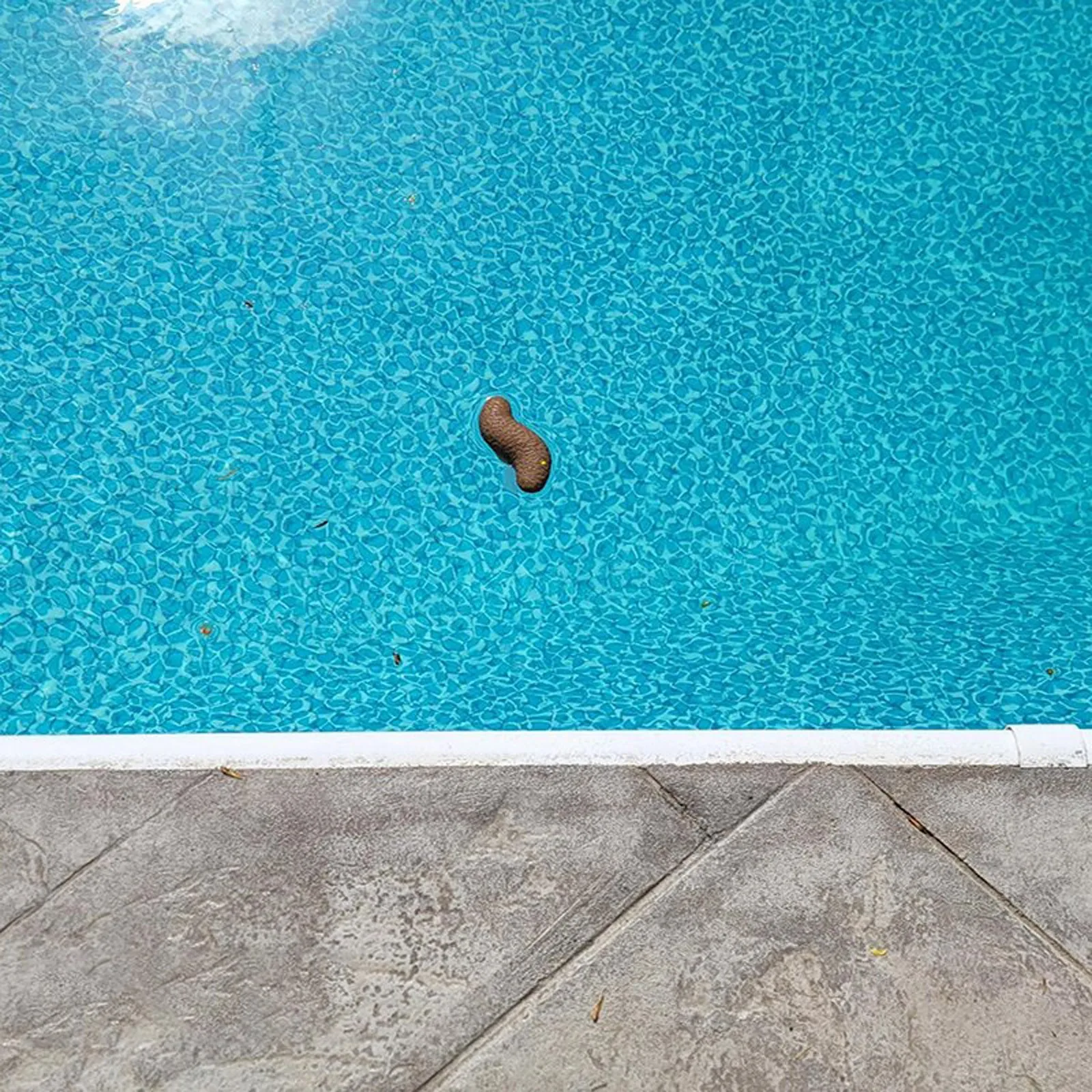 Swimming Pool Funny Thermometer Floating Poo Pool Thermometer Prank Pool And Hot Tub Thermometer 1ml
Swimming Pool Funny Thermometer Floating Poo Pool Thermometer Prank Pool And Hot Tub Thermometer 1ml