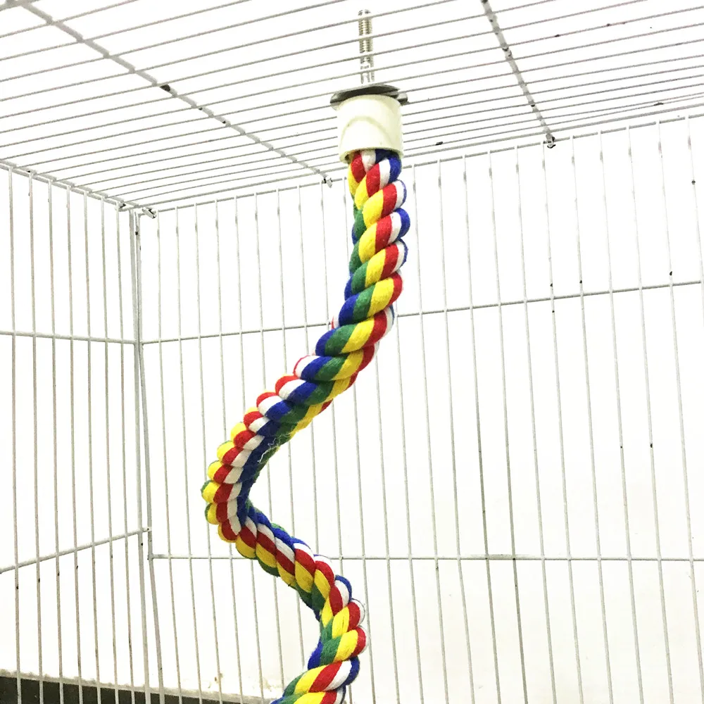 New Bird Toys Hanging Multicolor Rope Toys Type For Rope Bungee Bird Toy Colorful Parrot Spinning Toy 2021 New Hot Sale
New Bird Toys Hanging Multicolor Rope Toys Type For Rope Bungee Bird Toy Colorful Parrot Spinning Toy 2021 New Hot Sale