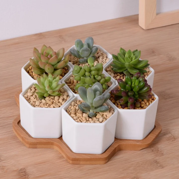 Set of 4/7/9/10 Hexagon Flowerpots White Ceramic Succulent Plant Pot with Bamboo Stand Home Office Christmas New Year Decor
Set of 4/7/9/10 Hexagon Flowerpots White Ceramic Succulent Plant Pot with Bamboo Stand Home Office Christmas New Year Decor