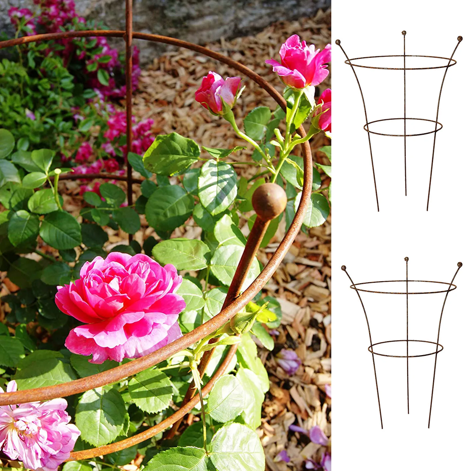 Plant Support Stakes Garden Single Stem Support Stake Plant Cage Support Rings For Amaryllis Tomatoes Orchid Lily Peony #M
Plant Support Stakes Garden Single Stem Support Stake Plant Cage Support Rings For Amaryllis Tomatoes Orchid Lily Peony #M