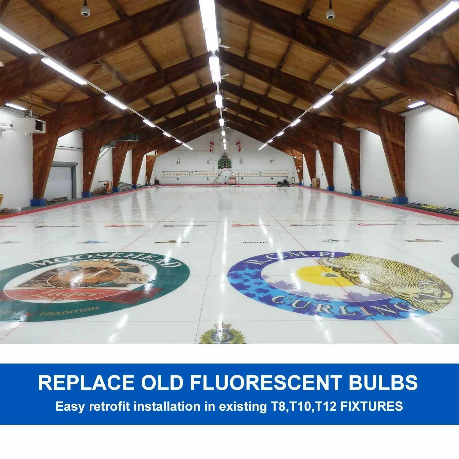 6-12PCS/Pack T8 Tube Bulb V shaped 64W 8FT Single Pin FA8 R17D End Led Shop Light
6-12PCS/Pack T8 Tube Bulb V shaped 64W 8FT Single Pin FA8 R17D End Led Shop Light