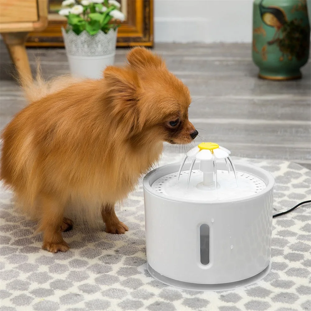 2.4L Automatic Water Fountain LED Electric Mute Water Feeder USB Dog Pet Drinker Bowl Pet Drinking Dispenser For Dog
2.4L Automatic Water Fountain LED Electric Mute Water Feeder USB Dog Pet Drinker Bowl Pet Drinking Dispenser For Dog