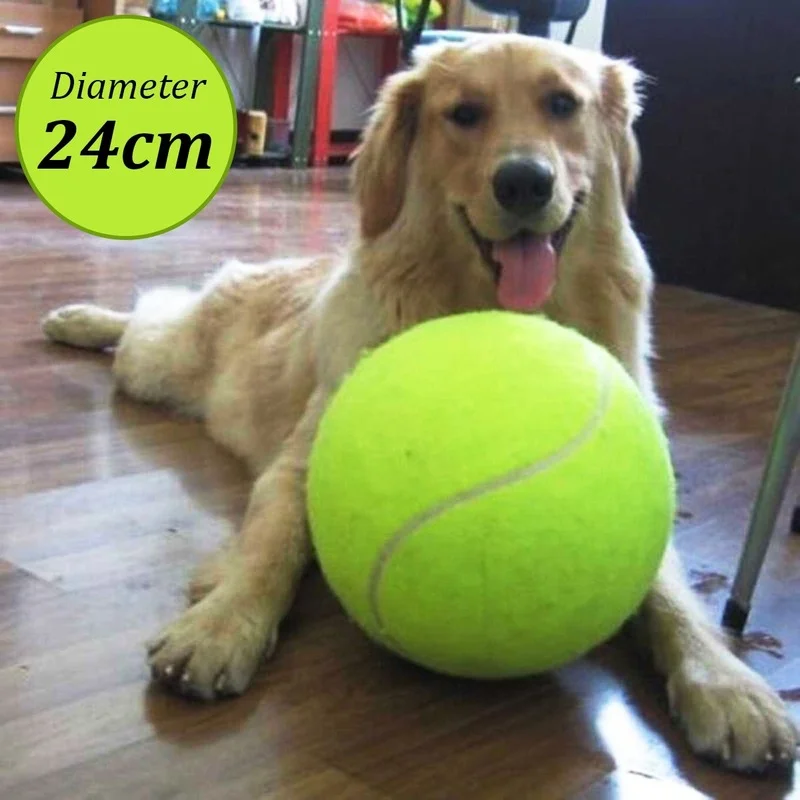 Rubber Kelly Big Giant Pet Dog Puppy Mega Jumbo Tennis Ball Thrower Chucker Launcher Play Toy Signature Diameter 24cm
Rubber Kelly Big Giant Pet Dog Puppy Mega Jumbo Tennis Ball Thrower Chucker Launcher Play Toy Signature Diameter 24cm