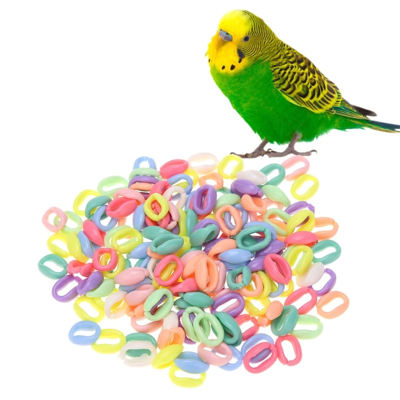 100Pcs/Pack Colorful Parrot Foot Toys C Chain Links Bird Stand Chain Bite Chew Play Toy Bird DIY Clips Hooks Handcraft
100Pcs/Pack Colorful Parrot Foot Toys C Chain Links Bird Stand Chain Bite Chew Play Toy Bird DIY Clips Hooks Handcraft