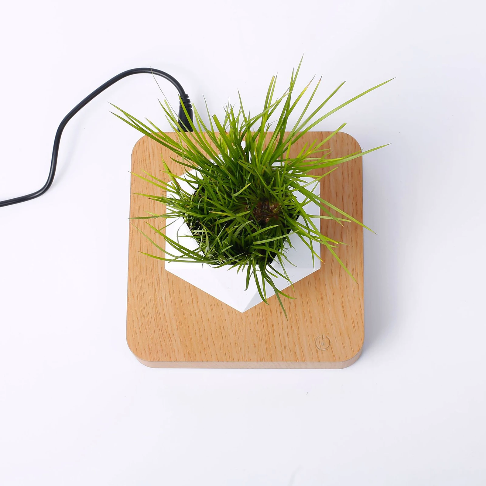 Levitating Air Bonsai Pot Magnetic Suspension Flower Pot Magnetic Suspension Desktop Flower Table Decor Levitating Air Plant Pot
Levitating Air Bonsai Pot Magnetic Suspension Flower Pot Magnetic Suspension Desktop Flower Table Decor Levitating Air Plant Pot