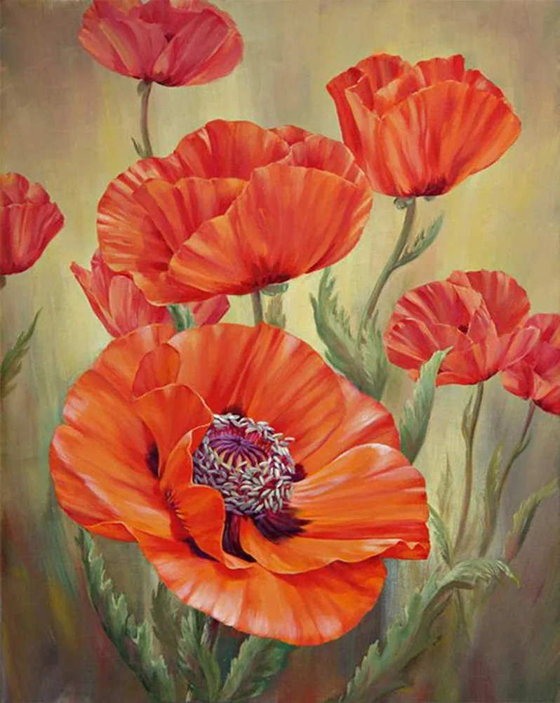 5D DIY Full Round with AB Drill Mosaic Embroidery Poppy Flower Diamond Painting Kits Cross Stitch Handmade Crafts Christmas Gift
5D DIY Full Round with AB Drill Mosaic Embroidery Poppy Flower Diamond Painting Kits Cross Stitch Handmade Crafts Christmas Gift