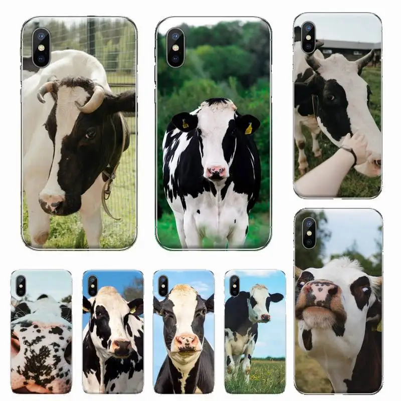 Cows cute animal Phone Case Transparent soft For iphone 12 11 13 7 8 6 s plus x xs xr pro max mini
Cows cute animal Phone Case Transparent soft For iphone 12 11 13 7 8 6 s plus x xs xr pro max mini