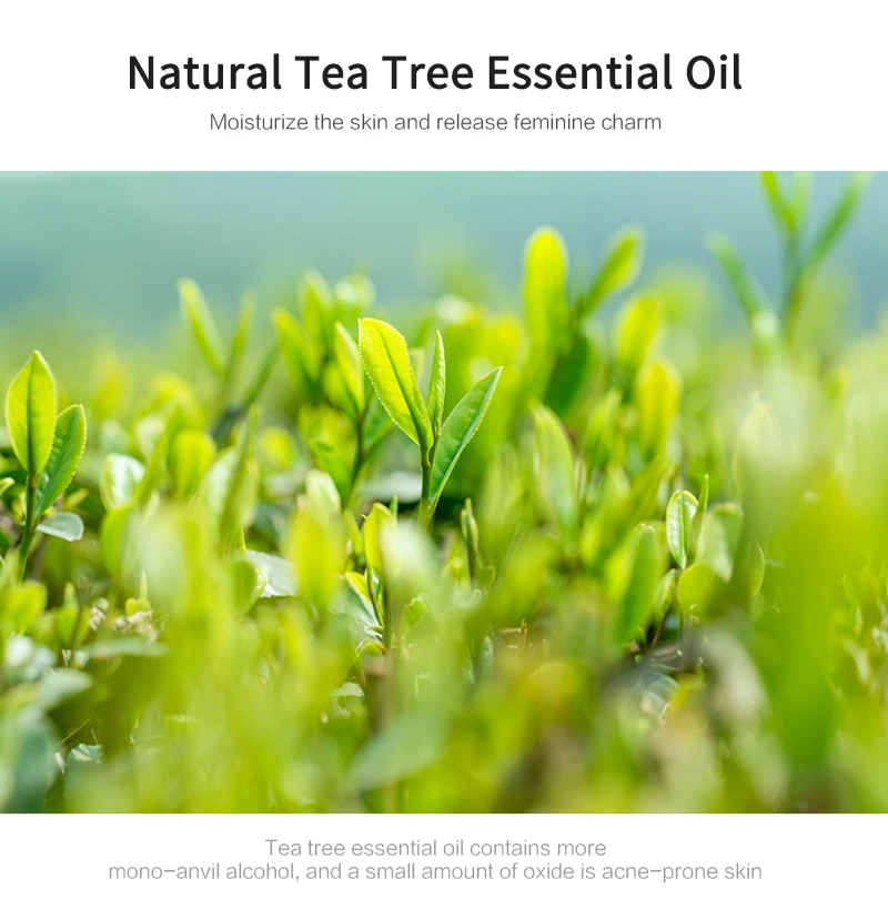 Gently remove acne and clean pores Essential Oil Moisturizing oil control body essential oil shrinking pores body care Beauty
Gently remove acne and clean pores Essential Oil Moisturizing oil control body essential oil shrinking pores body care Beauty