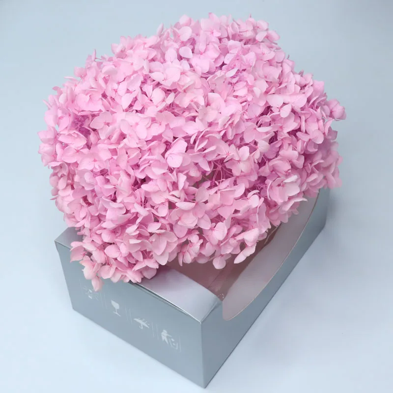 Factory Directly High Quality Forever Lasting Anna Hydrangea In Box For All Kinds Festival Decoration
Factory Directly High Quality Forever Lasting Anna Hydrangea In Box For All Kinds Festival Decoration