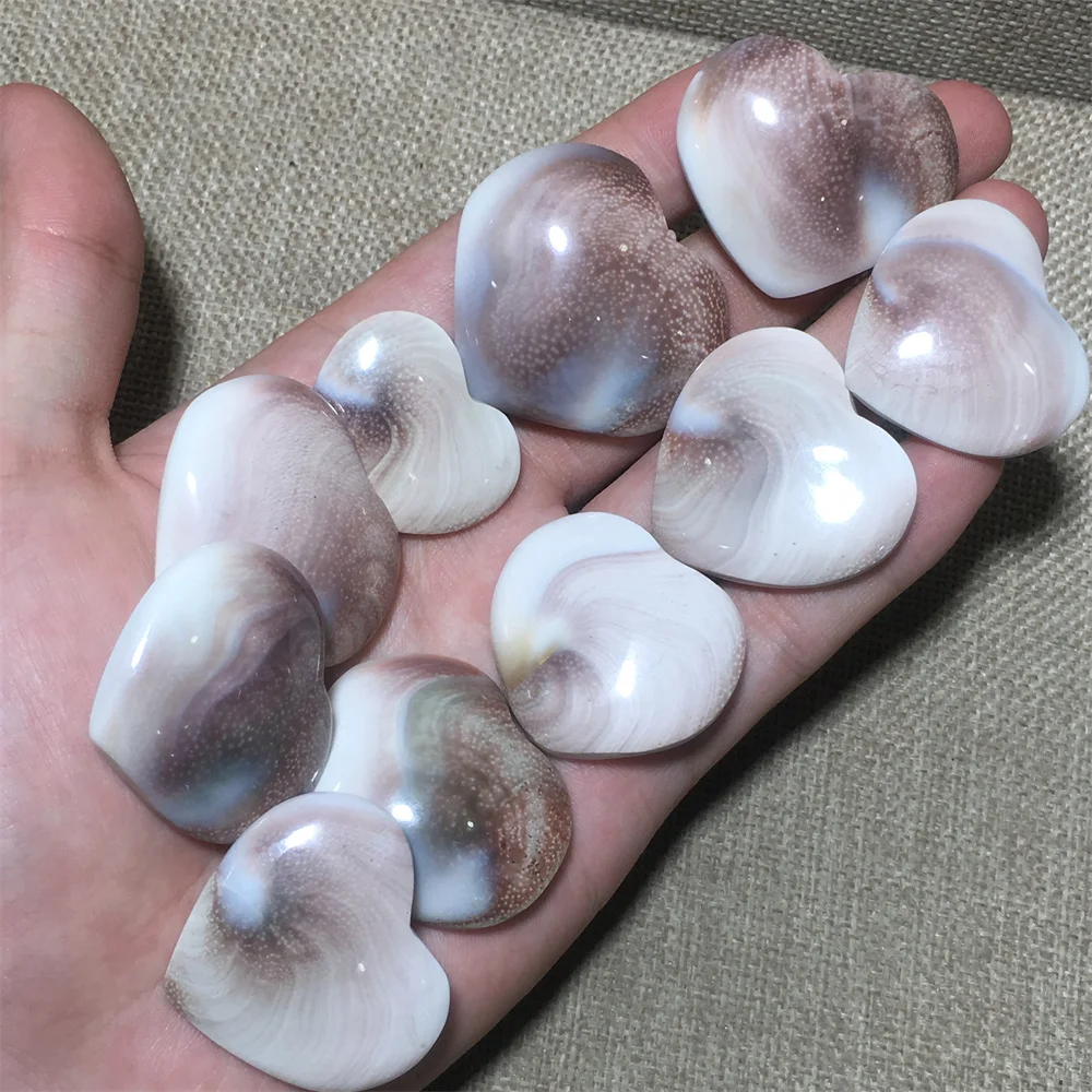 Natural Shell Heart Quartz Crystal Craft Ornament Feng Shui Healing Gemstone Fashion Mascot Home Decoration Collection
Natural Shell Heart Quartz Crystal Craft Ornament Feng Shui Healing Gemstone Fashion Mascot Home Decoration Collection