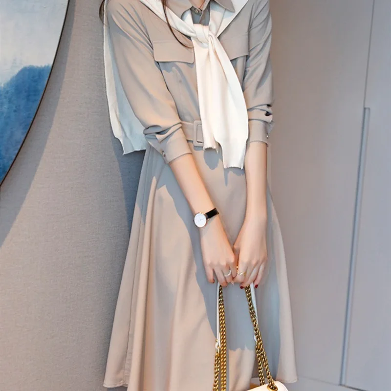 Women's clothing autumn and winter 2020 domestic authentic purchase long sleeve retro waist shirt dress A-line
Women's clothing autumn and winter 2020 domestic authentic purchase long sleeve retro waist shirt dress A-line