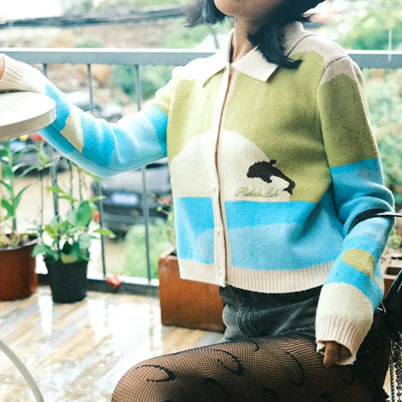 Printed Short Cardigan Vintage 2021 Autumn Winter Turn-down Collar Sweaters Long Sleeve Knitted Fashion Loose Casual Sweater
Printed Short Cardigan Vintage 2021 Autumn Winter Turn-down Collar Sweaters Long Sleeve Knitted Fashion Loose Casual Sweater