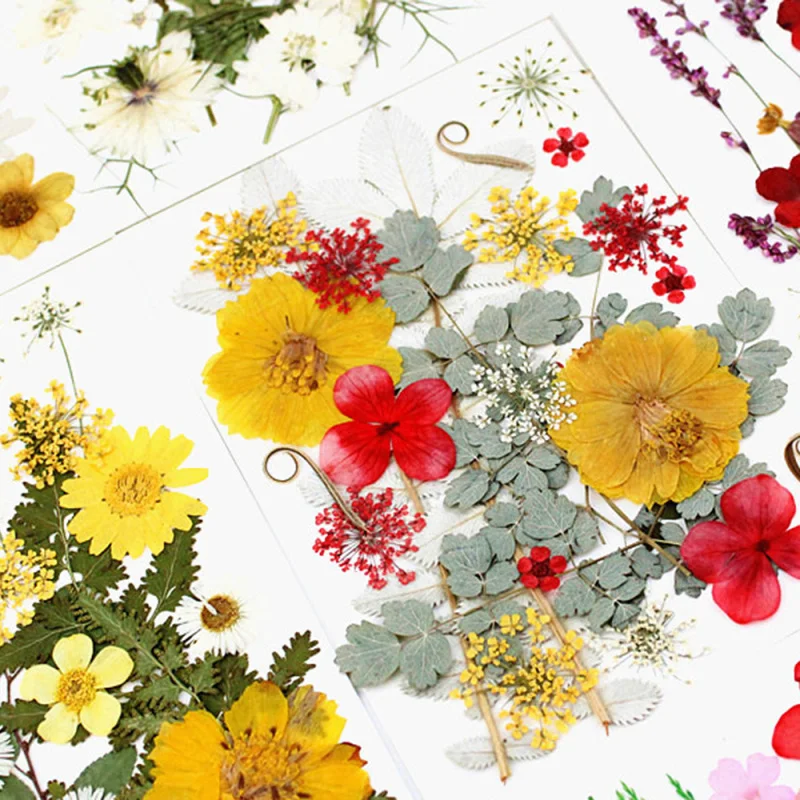 22PCS/pack Natural Dried Flower Plants Embossing Material Package DIY Epoxy Craft Scented Candle Making Supplies
22PCS/pack Natural Dried Flower Plants Embossing Material Package DIY Epoxy Craft Scented Candle Making Supplies