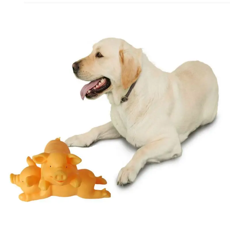 Pet Toy Dogs Teeth Grinding Squeak Chew Toys Puppy Cat Interactive Playing Toys Supplies Accessories Dropship
Pet Toy Dogs Teeth Grinding Squeak Chew Toys Puppy Cat Interactive Playing Toys Supplies Accessories Dropship