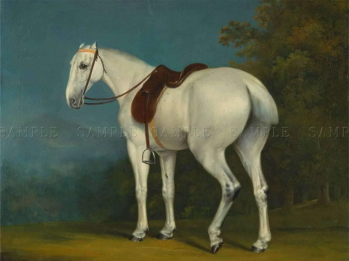 Painting Animal Portrait Agasse Lady Grey Horse Poster Tin Sign 8x12 Inch Home Kitchen Bedroom Bar Sign Decoration Posters Tin 
Painting Animal Portrait Agasse Lady Grey Horse Poster Tin Sign 8x12 Inch Home Kitchen Bedroom Bar Sign Decoration Posters Tin