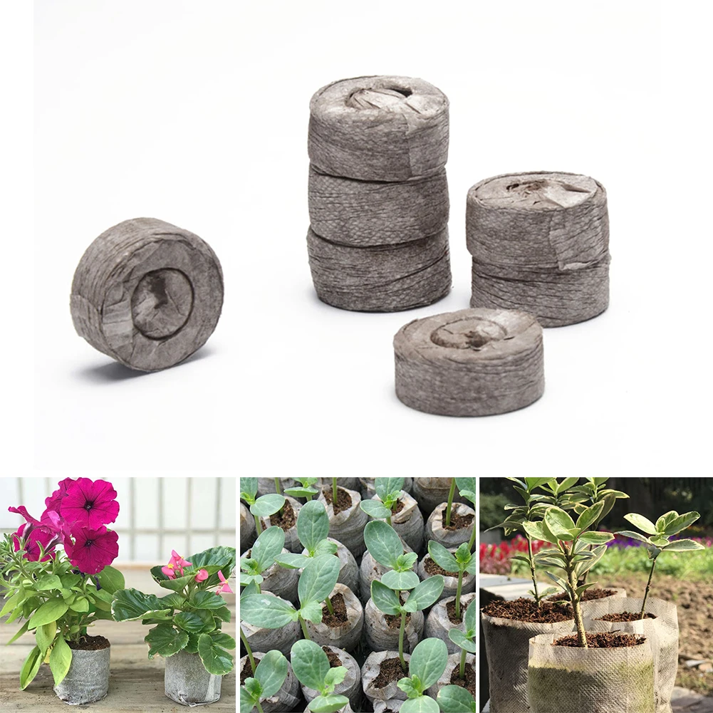 Fit for Intex Type H/S1/A Washable Reusable Swimming Pool Filter Foam Sponge Filter Sponges Accessories Fastdelivery Dropshippin
Fit for Intex Type H/S1/A Washable Reusable Swimming Pool Filter Foam Sponge Filter Sponges Accessories Fastdelivery Dropshippin