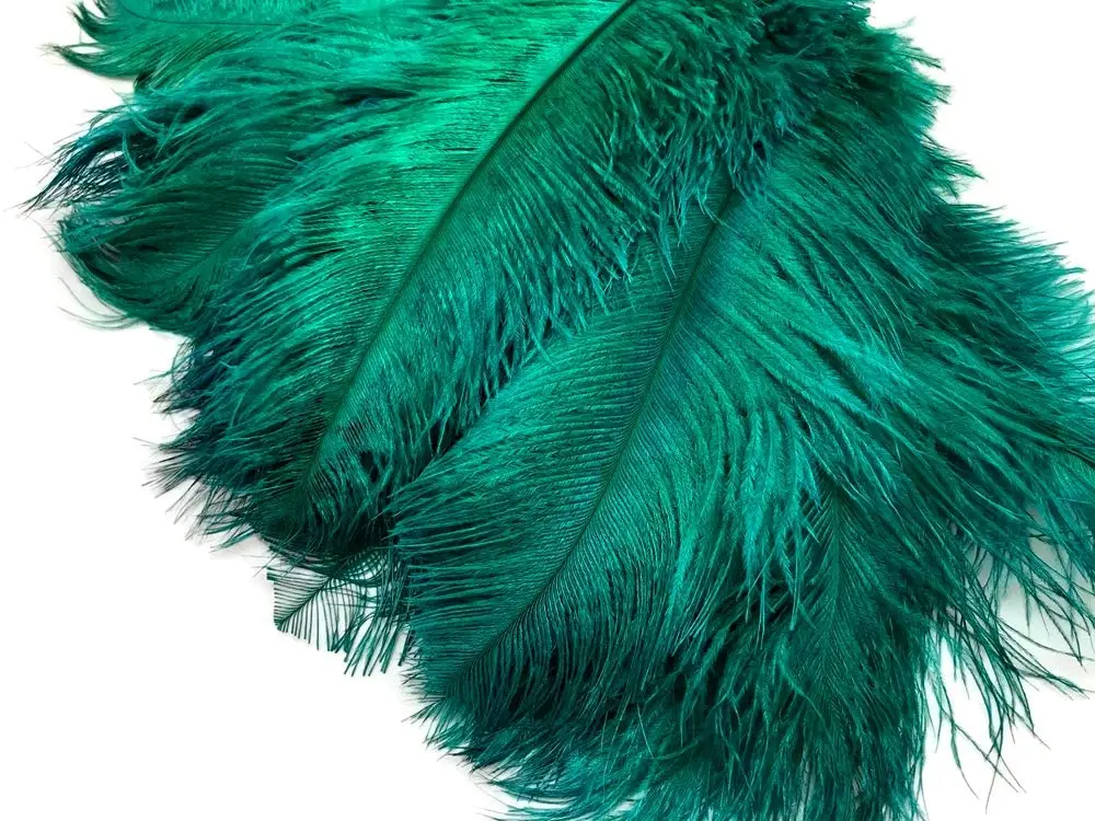 High Quality Dark green Ostrich Feather 6-8 inches/15-20 cm Natural Feathers for DIY Crafts Wedding Decoration Plumage
High Quality Dark green Ostrich Feather 6-8 inches/15-20 cm Natural Feathers for DIY Crafts Wedding Decoration Plumage