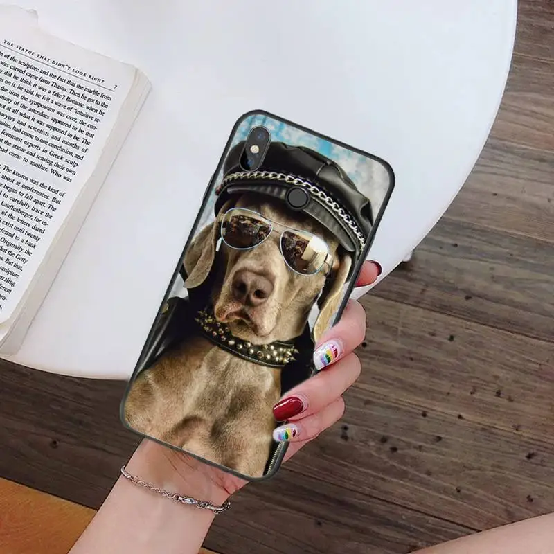 Weimaraner dog funny animal pattern Anti-fall mobile Phone Case For Xiaomi Redmi note 7 8 9 t k30 max3 9 s 10 pro lite
Weimaraner dog funny animal pattern Anti-fall mobile Phone Case For Xiaomi Redmi note 7 8 9 t k30 max3 9 s 10 pro lite